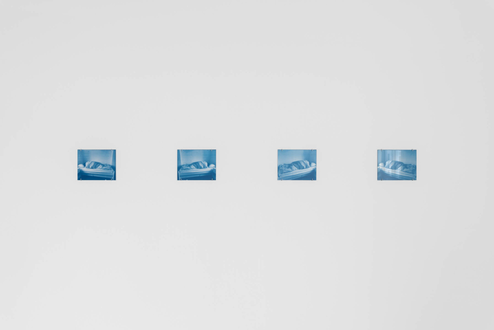 "Circadian rhythm: images of my sister taking an afternoon nap", four screen prints on glass, phycocyanin, acrylic paint