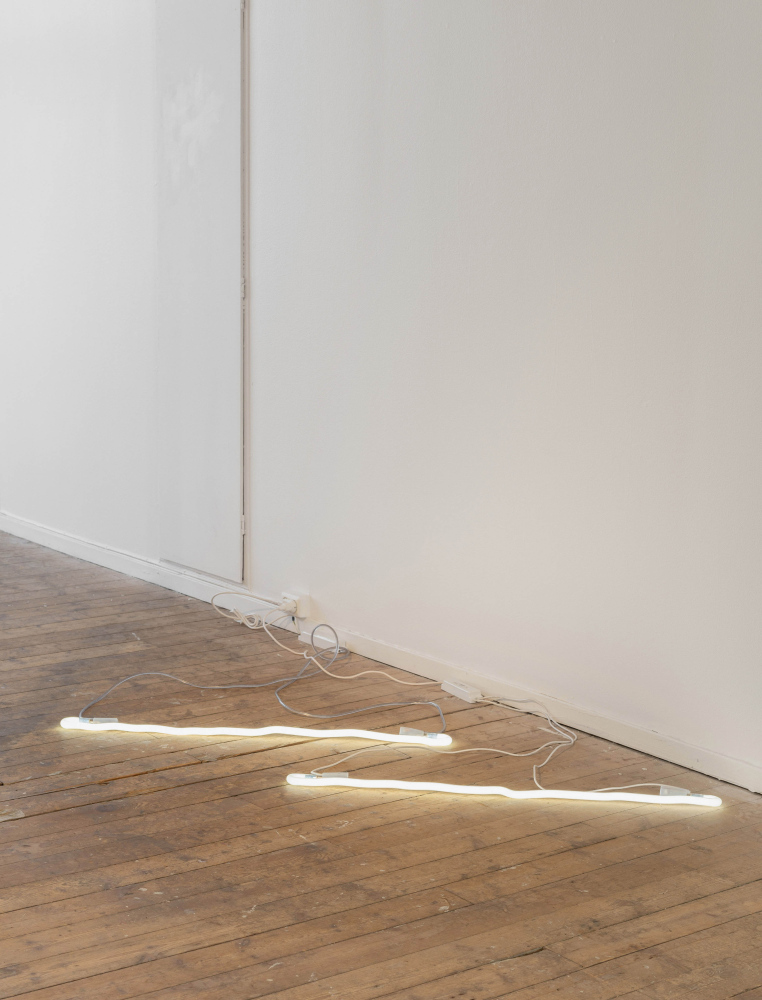 "A very long bed, circadian rhythm", engraved glass, neon lights, transformers, cables 