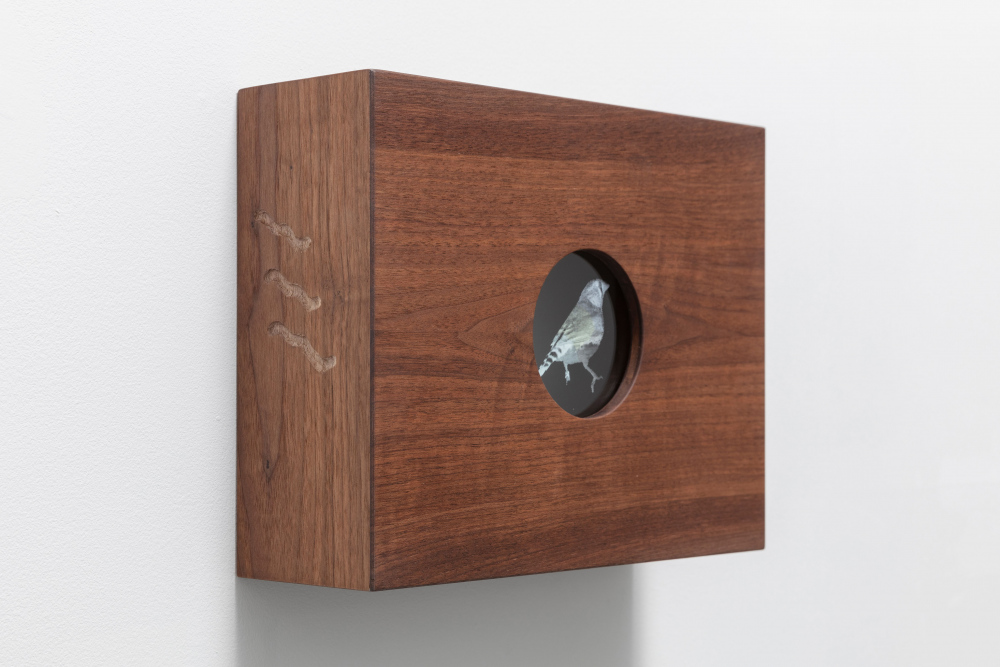 "Zebra Finch 1", wood (walnut), wood carving, screen printed glass. 3 pieces.